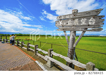 羊ヶ丘展望台 北海道観光 札幌市 82788435