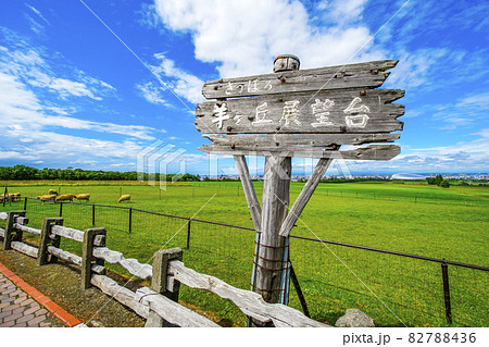 羊ヶ丘展望台 北海道観光 札幌市 82788436