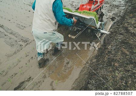 田植え 田植え 82788507