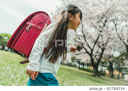 小学校新一年生 小学校新一年生 82788534