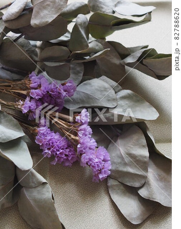 ユーカリとスターチスのドライフラワー 82788620