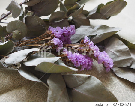 ユーカリとスターチスのドライフラワー 82788621