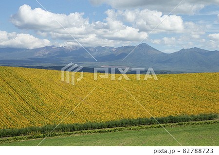 蕎麦畑 蕎麦畑 82788723