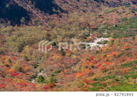 (栃木県)那須・茶臼岳 姥ヶ平 の紅葉 (栃木県)那須・茶臼岳 姥ヶ平 の紅葉 82791893