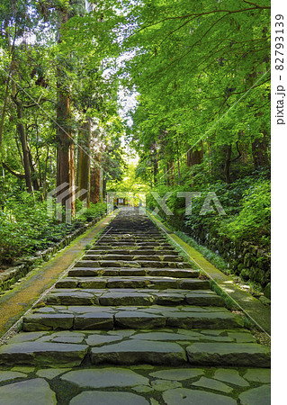 瑞鳳殿の石階段 宮城県仙台市 82793139