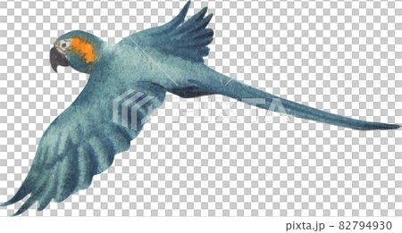 Cute parrot watercolor 82794930