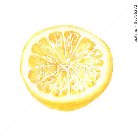 水彩で描いたグレープフルーツのイラスト 82796272