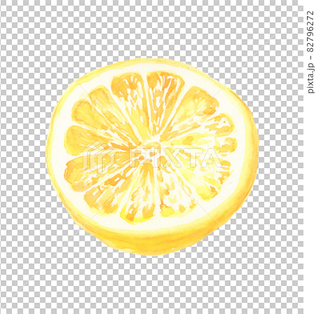 水彩で描いたグレープフルーツのイラスト 82796272