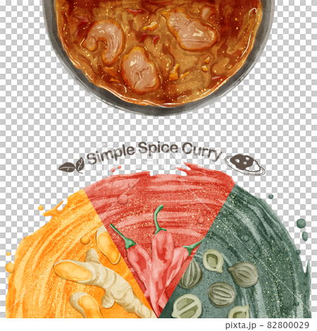 スパイスカレーとスパイス3種類の手書き水彩風イラスト スパイスカレーとスパイス3種類の手書き水彩風イラスト 82800029