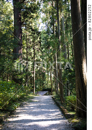 土佐神社の参道 土佐神社の参道 82802252