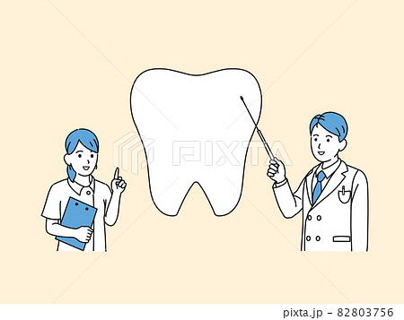 歯医者 歯科衛生士 男女 解説 歯の説明 教える イラスト素材のイラスト素材