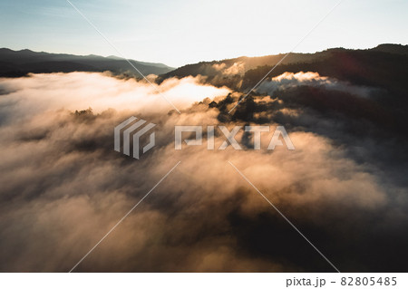 Morning fog in the forest from above 82805485