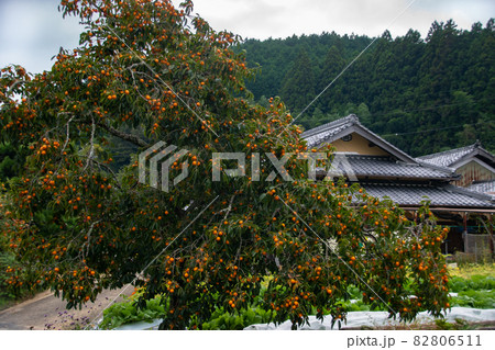 秋の天野の里の風景 和歌山県伊都郡かつらぎ町天野 秋の天野の里の風景 和歌山県伊都郡かつらぎ町天野 82806511
