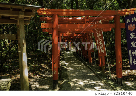 熊野　花の窟神社　稲荷神社　三重県熊野市 82810440