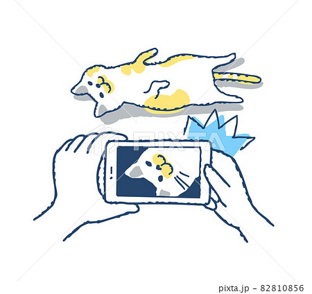 スマートフォンで猫を撮影している場面 82810856