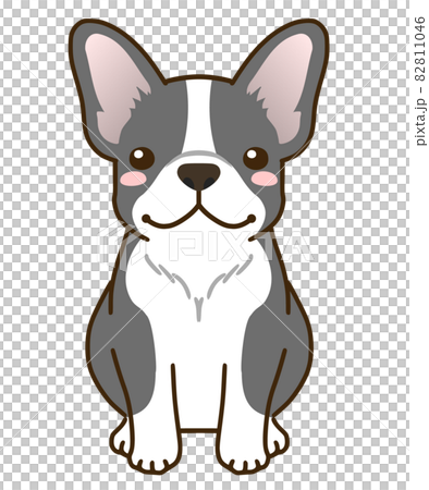 フレンチブルドッグ（パイド）のイラスト素材 [82811046] - PIXTA