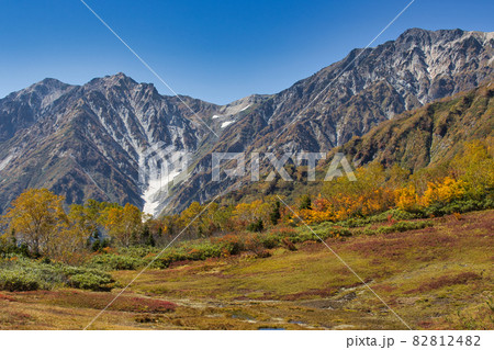 展望湿原の美しい紅葉と迫力ある白馬三山・白馬大雪渓　栂池自然園　長野県小谷村 82812482