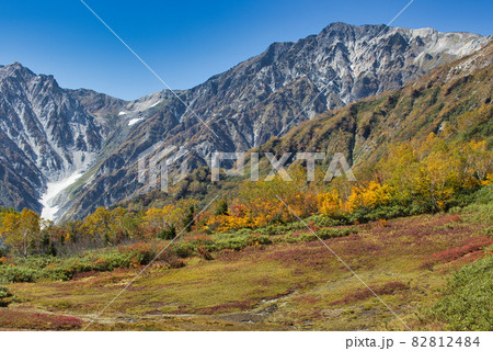展望湿原の美しい紅葉と迫力ある白馬岳・白馬大雪渓　栂池自然園　長野県小谷村 82812484