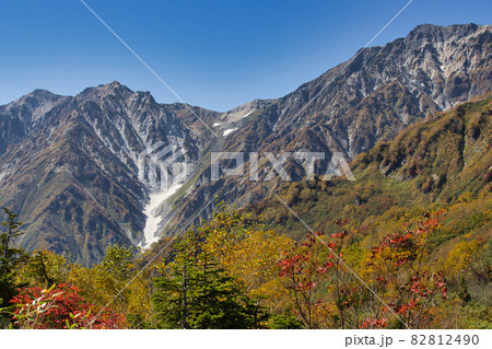 展望湿原の美しい紅葉と迫力ある白馬三山・白馬大雪渓　栂池自然園　長野県小谷村 82812490