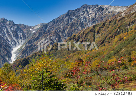 展望湿原の美しい紅葉と迫力ある白馬岳・白馬大雪渓 栂池自然園 長野県小谷村 展望湿原の美しい紅葉と迫力ある白馬岳・白馬大雪渓 栂池自然園 長野県小谷村 82812492