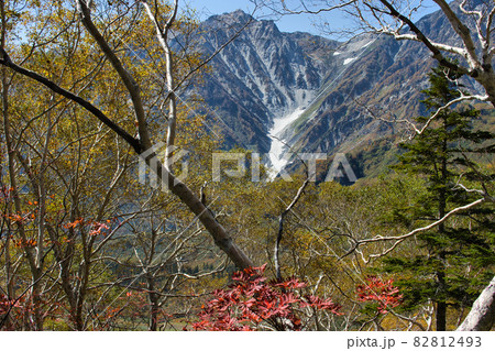美しい紅葉と迫力ある白馬大雪渓 栂池自然園 長野県小谷村 美しい紅葉と迫力ある白馬大雪渓 栂池自然園 長野県小谷村 82812493