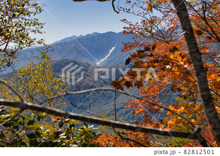 美しい紅葉と迫力ある唐松岳・唐松沢(氷河) 栂池自然園 長野県小谷村 美しい紅葉と迫力ある唐松岳・唐松沢(氷河) 栂池自然園 長野県小谷村 82812501