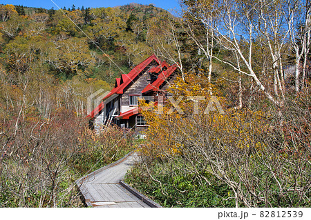 美しい紅葉と栂池ヒュッテ記念館　栂池自然園　長野県小谷村 82812539