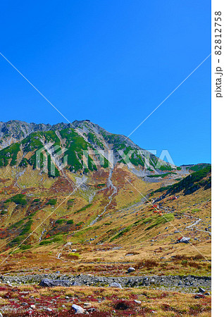 立山　室堂平からの紅葉　富山県 82812758