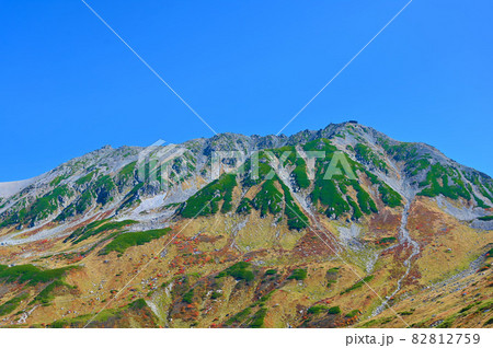 立山　室堂平　紅葉　富山県 82812759