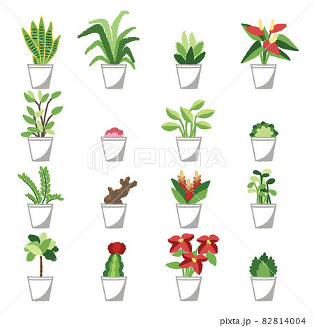 観葉植物のイラスト 82814004