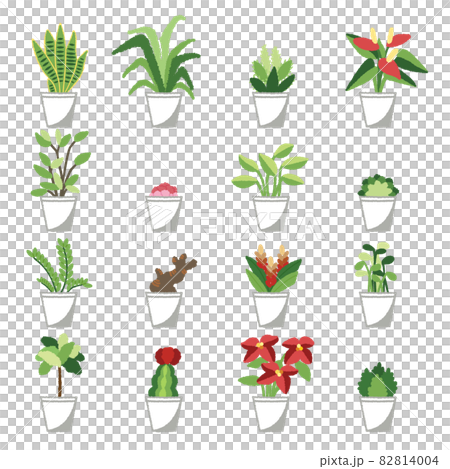 観葉植物のイラスト 82814004