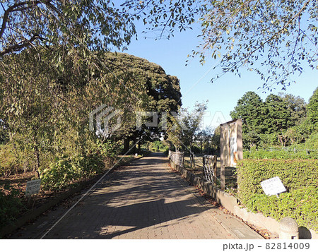 赤山城跡 82814009