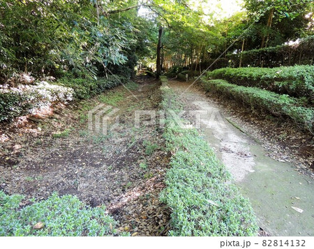 赤山城跡 堀 82814132