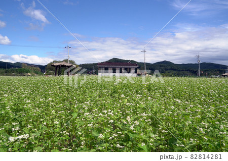 登山 展望台 観光地 82814281