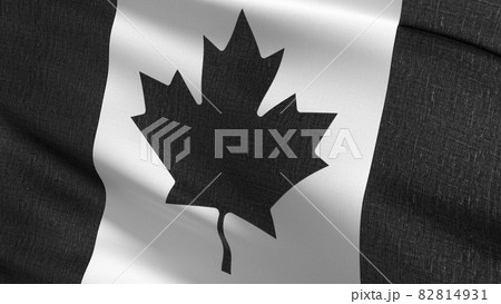 Black Canada national flag blowing in the wind. 3D rendering illustration of waving sign Black Canada national flag blowing in the wind. 3D rendering illustration of waving sign 82814931