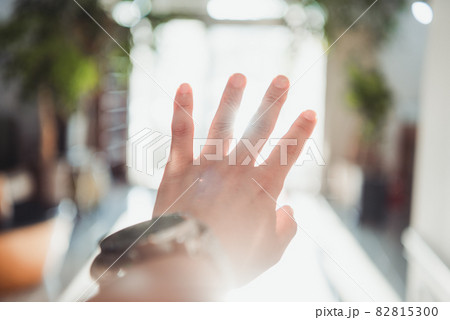 手 指 日差し 82815300