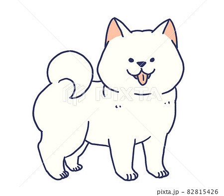 立っているかわいい白柴のイラスト素材