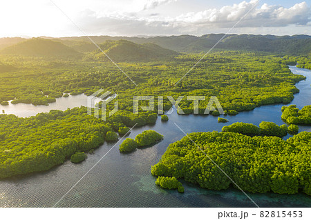 Anavilhanas archipelago, flooded amazonia forest in Negro River, Amazonas, Brazil. Aerial drone view. 82815453