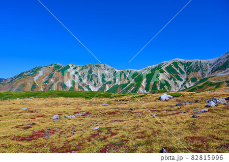 室堂平　秋の立山　富山県 82815996