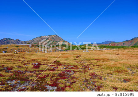 室堂平 秋の立山 富山県 室堂平 秋の立山 富山県 82815999