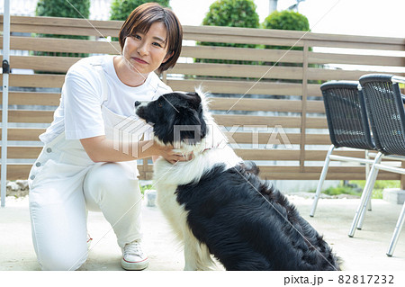 ボーダーコリーとかわいい女性の写真素材