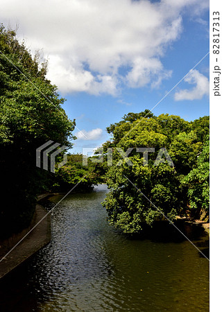 沖縄 首里城公園 龍潭池 沖縄 首里城公園 龍潭池 82817313