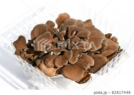 きのこ（黒舞茸） 82817446