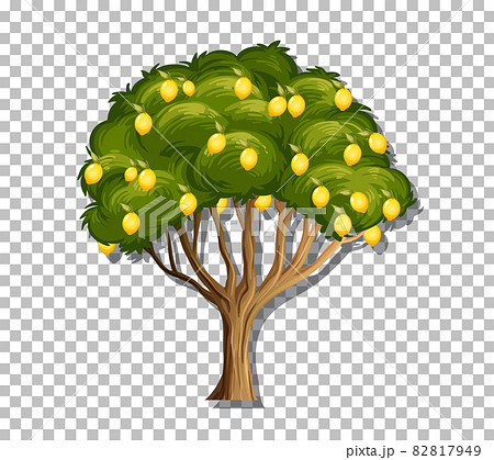 Lemon tree on transparent background 82817949