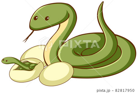 Green snake with eggs animal cartoon on white background 82817950