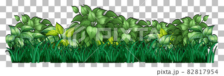 Variety trees on transparent background 82817954