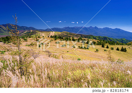 長野県・茅野市 初秋の車山登山道から眺める南八ヶ岳の風景 82818174