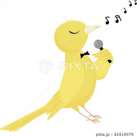 Singing Yellow Canary Isolated On White Backgroundのイラスト素材 8170