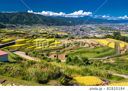 《長野県》黄金色の田園風景・姨捨の棚田 《長野県》黄金色の田園風景・姨捨の棚田 82820184