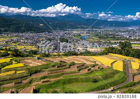 《長野県》黄金色の田園風景・姨捨の棚田 82820188